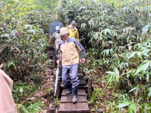 草むらの中の道を下る人達の写真