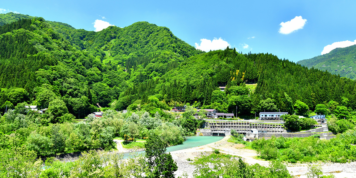 木々や山に囲まれた小谷村の外観写真