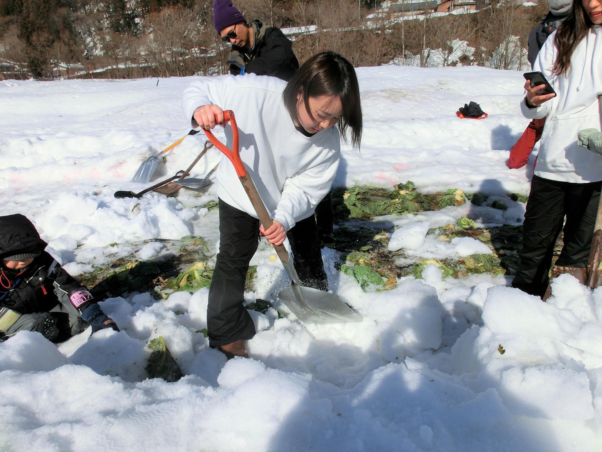 雪の中で人々がスコップを使い作業している写真