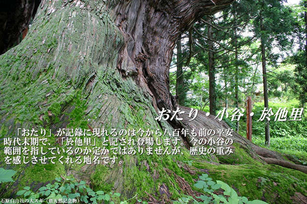 おたり・小谷・於他里 「おたり」が記録に現れるのは今から八百年も前の平安時代末期で、「於他里」と記され登場します。今の小谷の範囲を指しているのか定かではありませんが、歴史の重みを感じさせてくれる地名です。