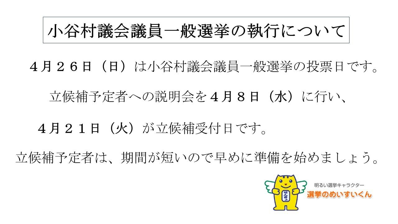村議会先挙のチラシ