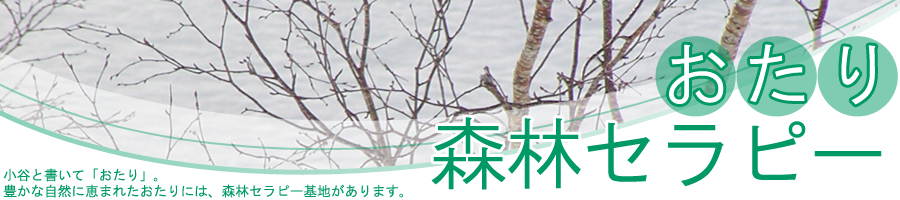 葉の無くなった木々を背景に「おたり森林セラピー」と書かれた写真（おたり森林セラピーのサイトへリンク）