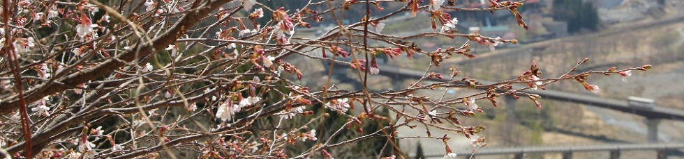 小谷村の風景 春