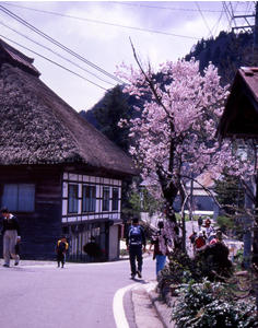 矢口家住宅主屋