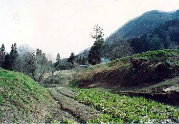 黒川城居館跡