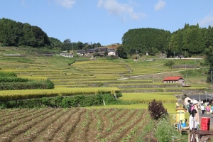 全国棚田（千枚田）サミット　in　波佐見町　2の画像_02