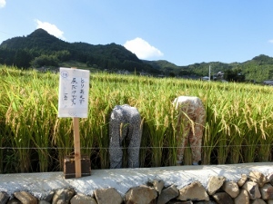 全国棚田（千枚田）サミット　in　波佐見町　2の画像_07