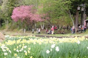 塩の道まつり2018後半の画像10