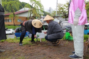 平和の木の画像4